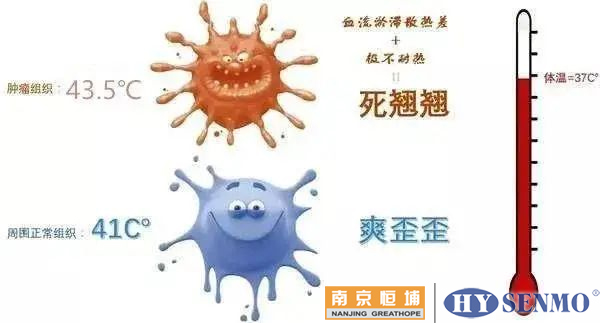 肿瘤细胞在39℃~40℃时，其活性受到抑制，又增加凋亡的趋势……